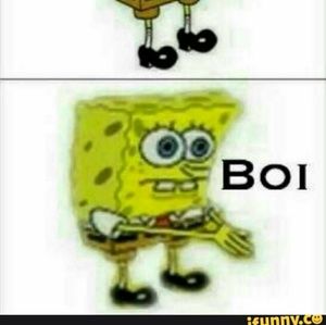 Meet your Posher, Jared